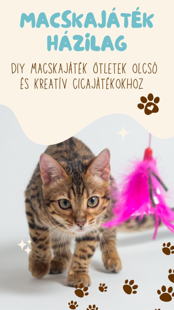 Macskajáték házilag
