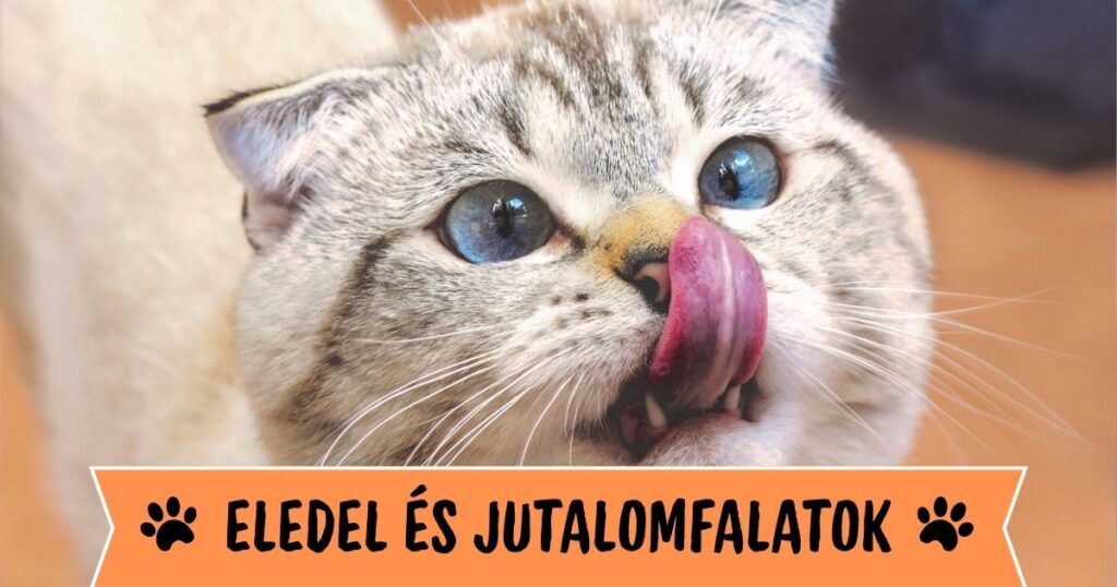 Eledel és jutalomfalatok