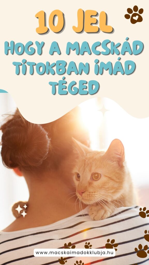 10 jel, hogy a macskád titokban imád téged