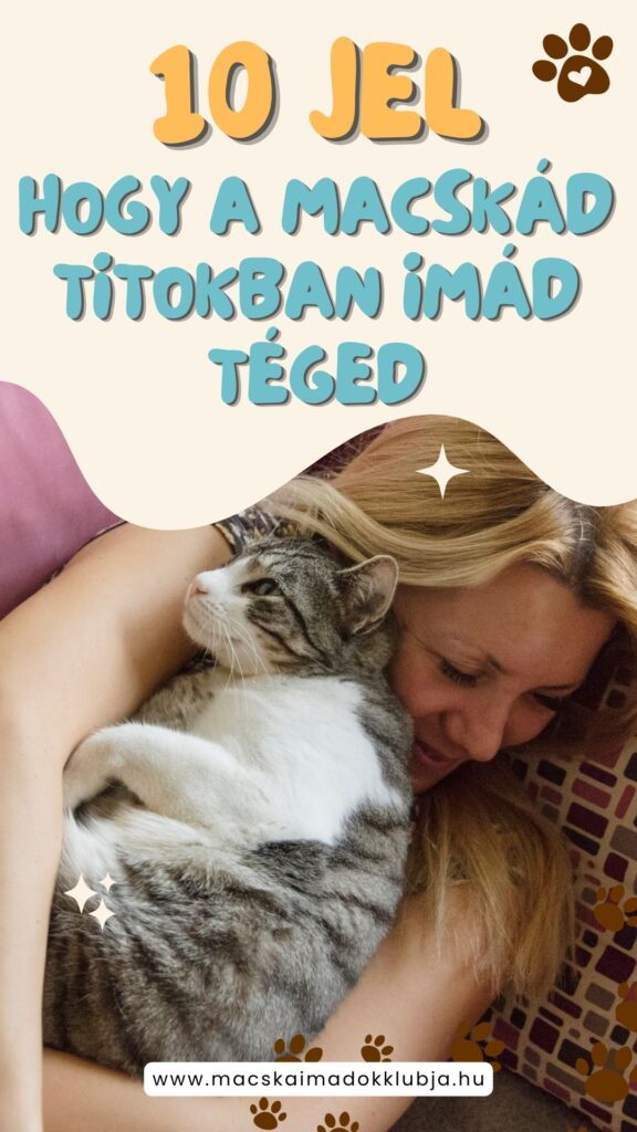 10 jel, hogy a macskád titokban imád téged