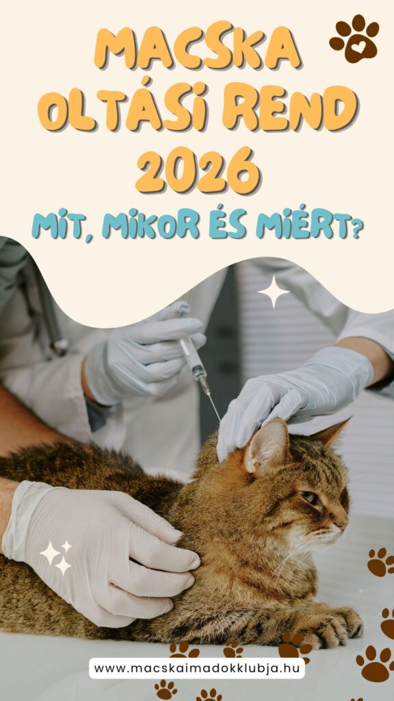 Macska oltási rend 2026