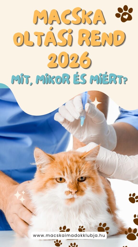 Macska oltási rend 2026