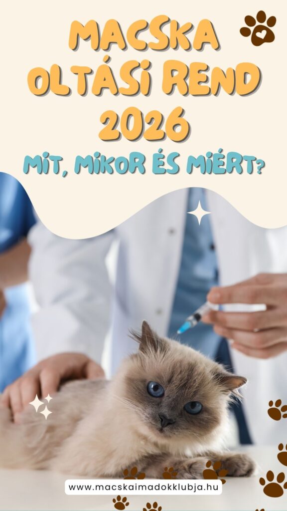 Macska oltási rend 2026