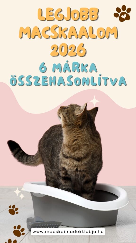 Legjobb macskaalom 2026