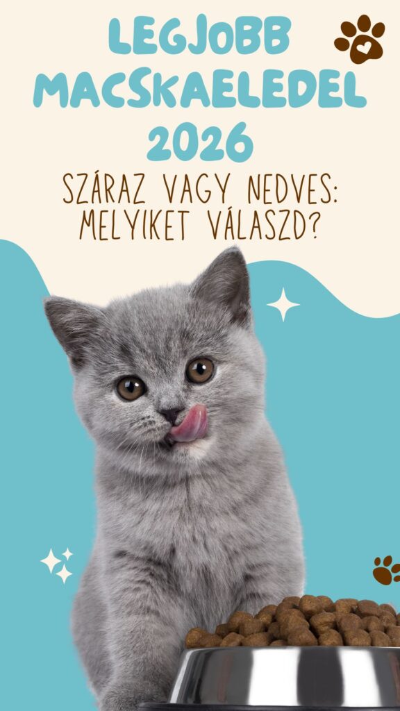 legjobb macskaeledel 2026