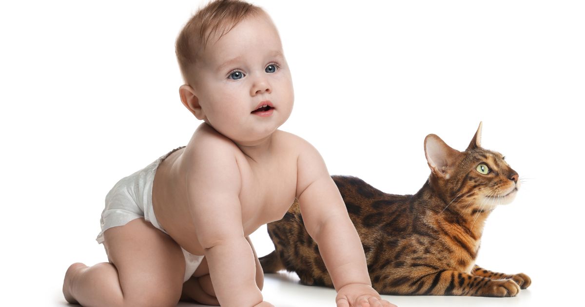 Macska és kisgyerek – hogyan éljetek biztonságosan együtt?
