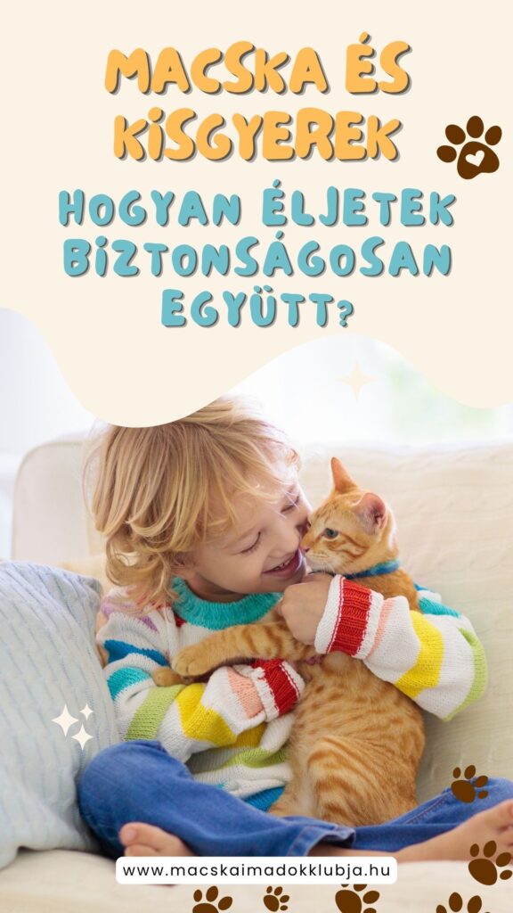 Macska és kisgyerek – hogyan éljetek biztonságosan együtt?