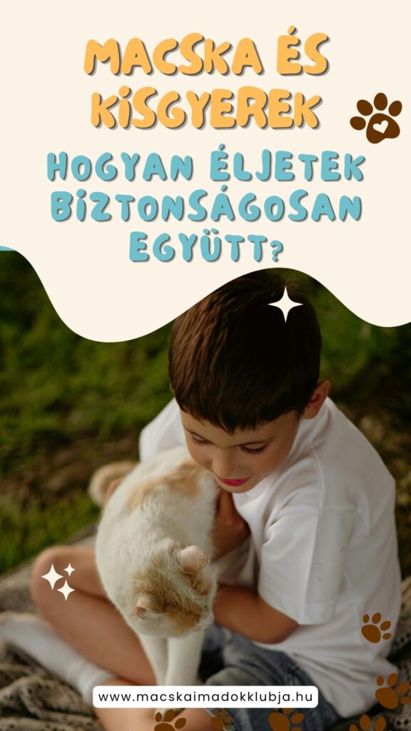 Macska és kisgyerek – hogyan éljetek biztonságosan együtt?