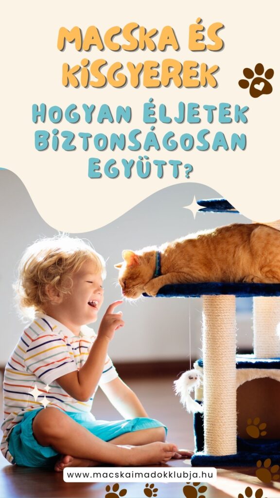 Macska és kisgyerek – hogyan éljetek biztonságosan együtt?