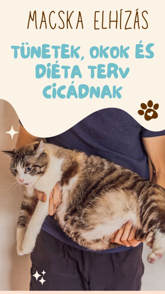 Macska elhízás