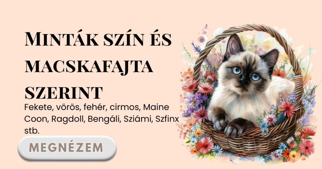 Minták szín és macskafajta szerint