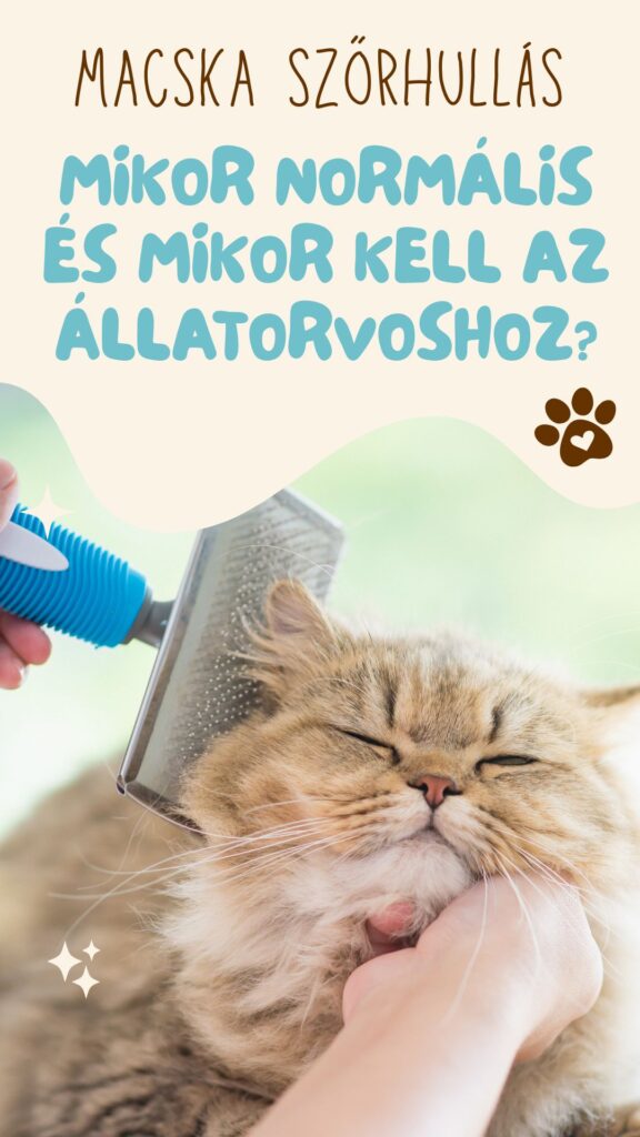 macska szőrhullás