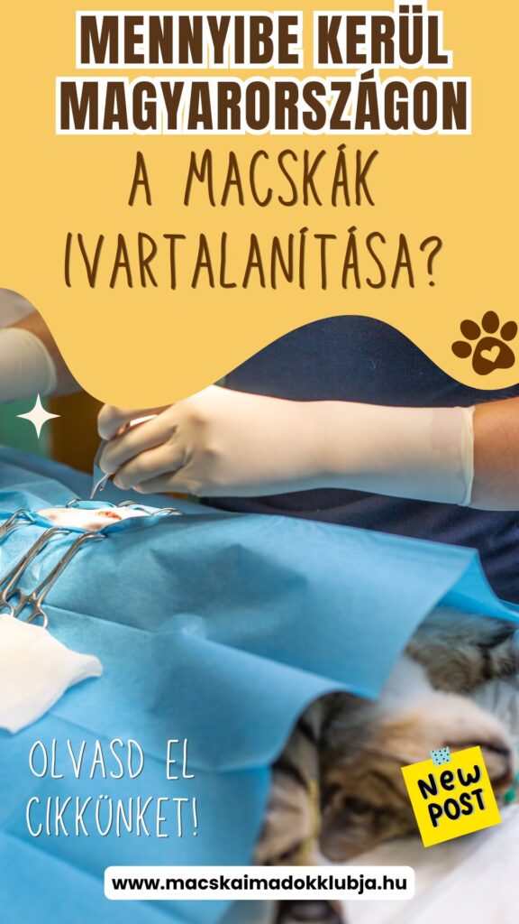 macska ivartalanítás ára 2026