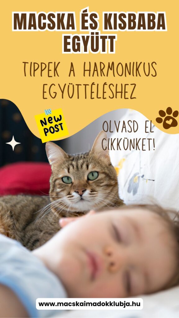 Macska és újszülött