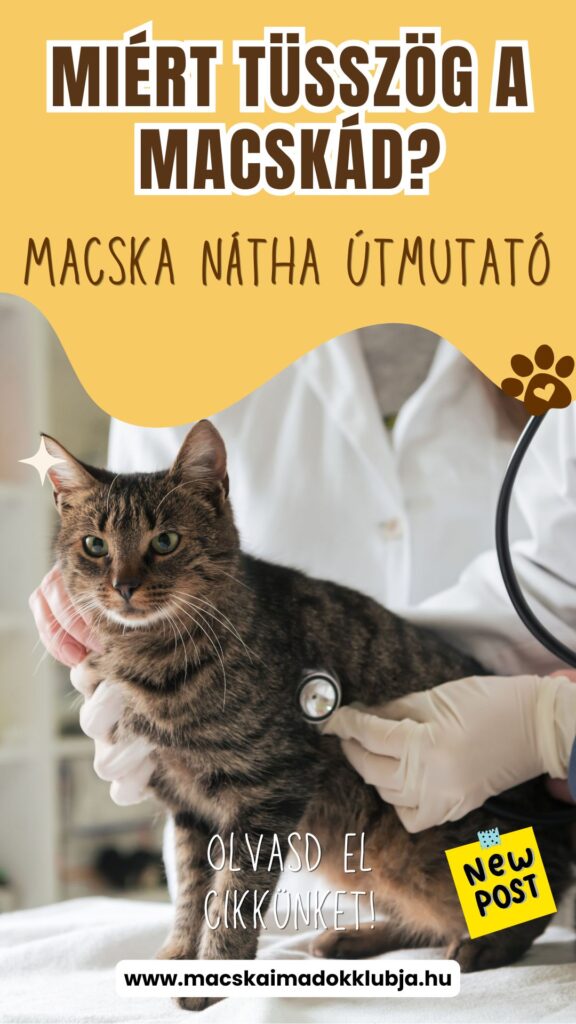 Macska megfázás