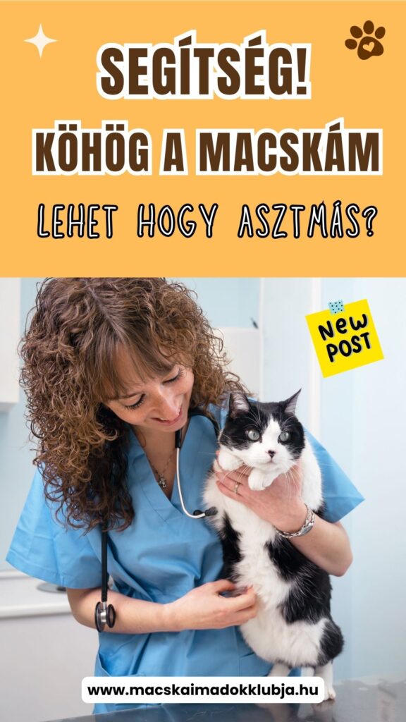 Macska asztma