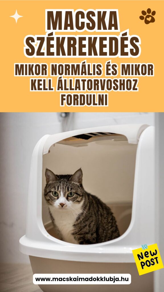 Macska székrekedés
